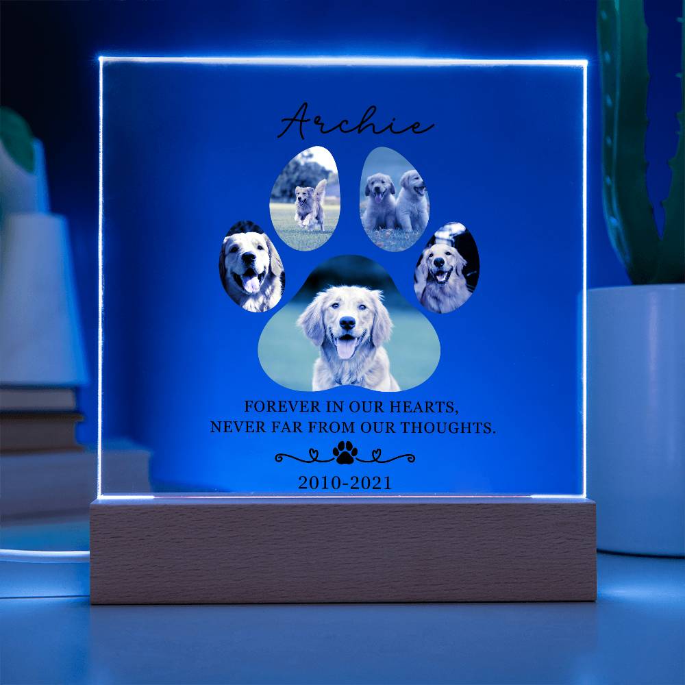 Custom Pet Memorial acrylic LED plaque