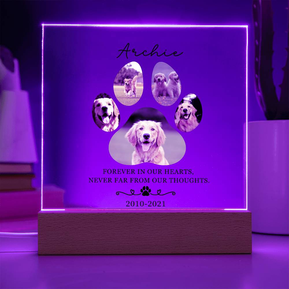 Custom Pet Memorial acrylic LED plaque