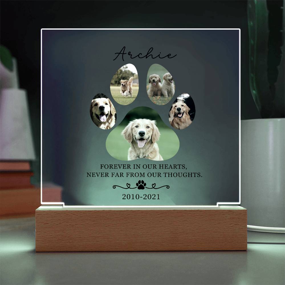 Custom Pet Memorial acrylic LED plaque