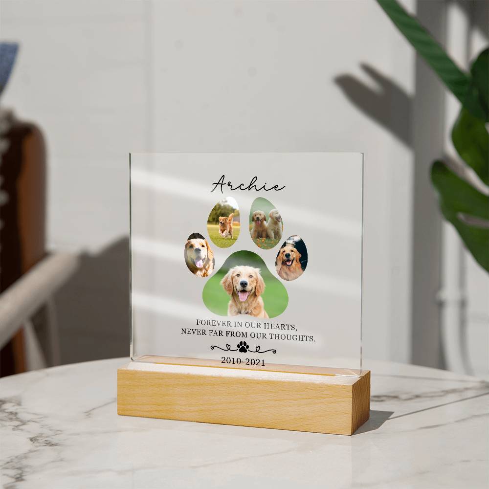 Custom Pet Memorial acrylic LED plaque