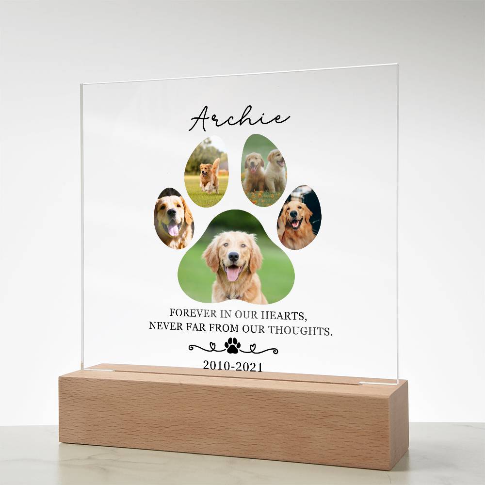 Custom Pet Memorial acrylic LED plaque