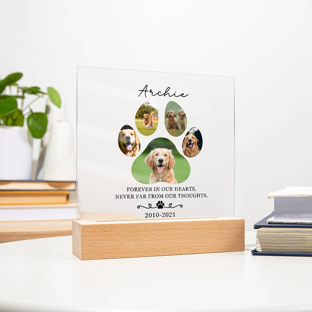 Custom Pet Memorial acrylic LED plaque