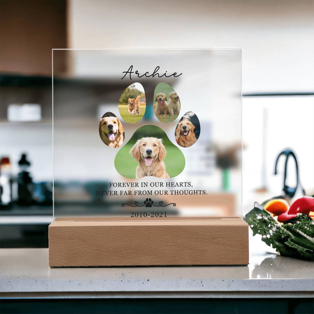 Custom Pet Memorial acrylic LED plaque