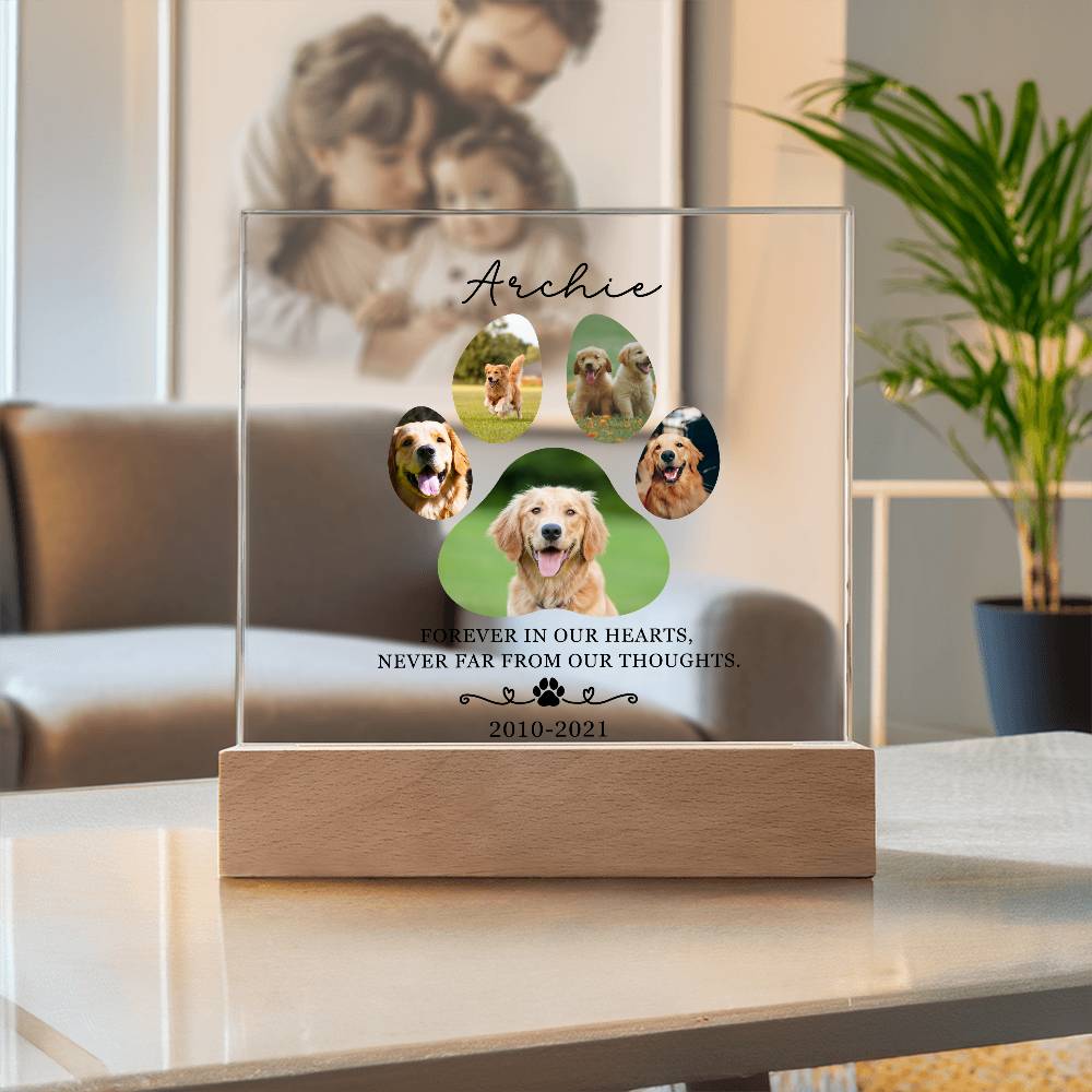 Custom Pet Memorial acrylic LED plaque