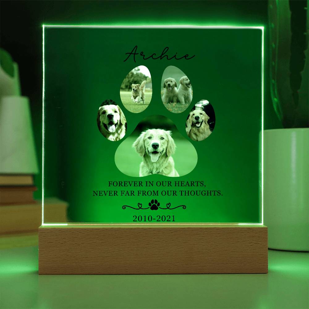 Custom Pet Memorial acrylic LED plaque