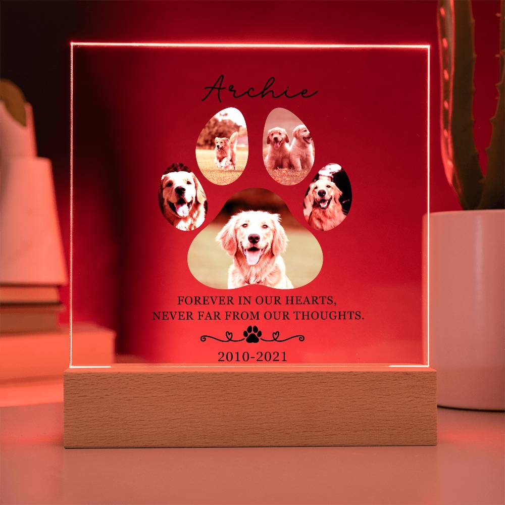 Custom Pet Memorial acrylic LED plaque